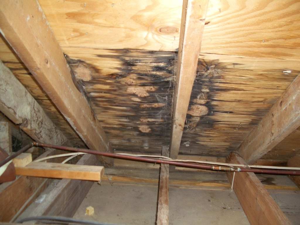 Can A Roof Leak Be Fixed From The Inside?