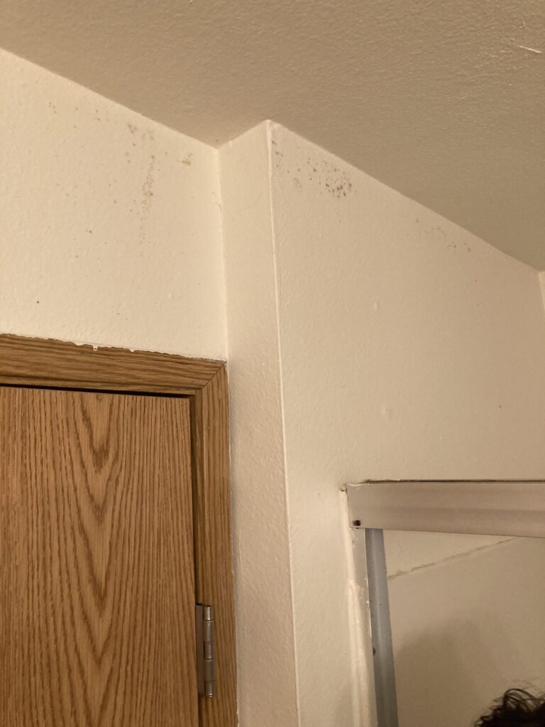 Can Mold Behind Walls Make You Sick?
