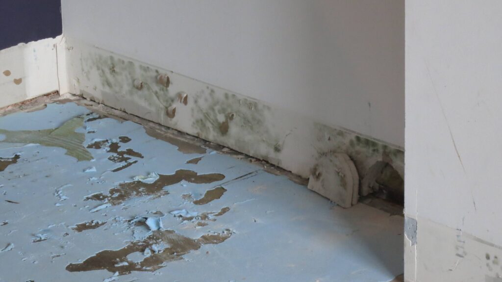 Does Drywall Need To Be Replaced If Moldy?