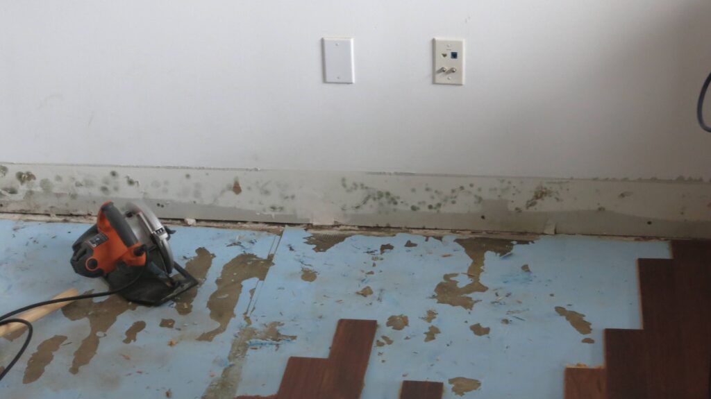Does Drywall Need To Be Replaced If Moldy?