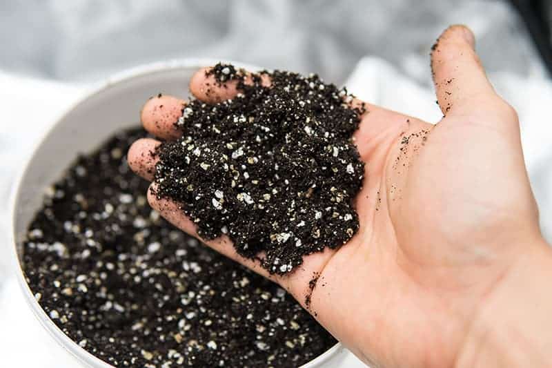 Does Potting Mix Have Vermiculite?