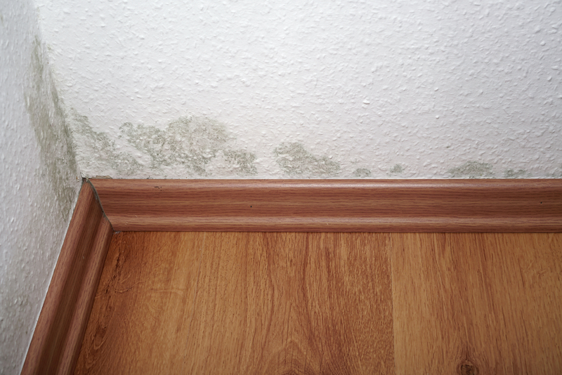How Do You Know If Mold Is Behind Drywall?