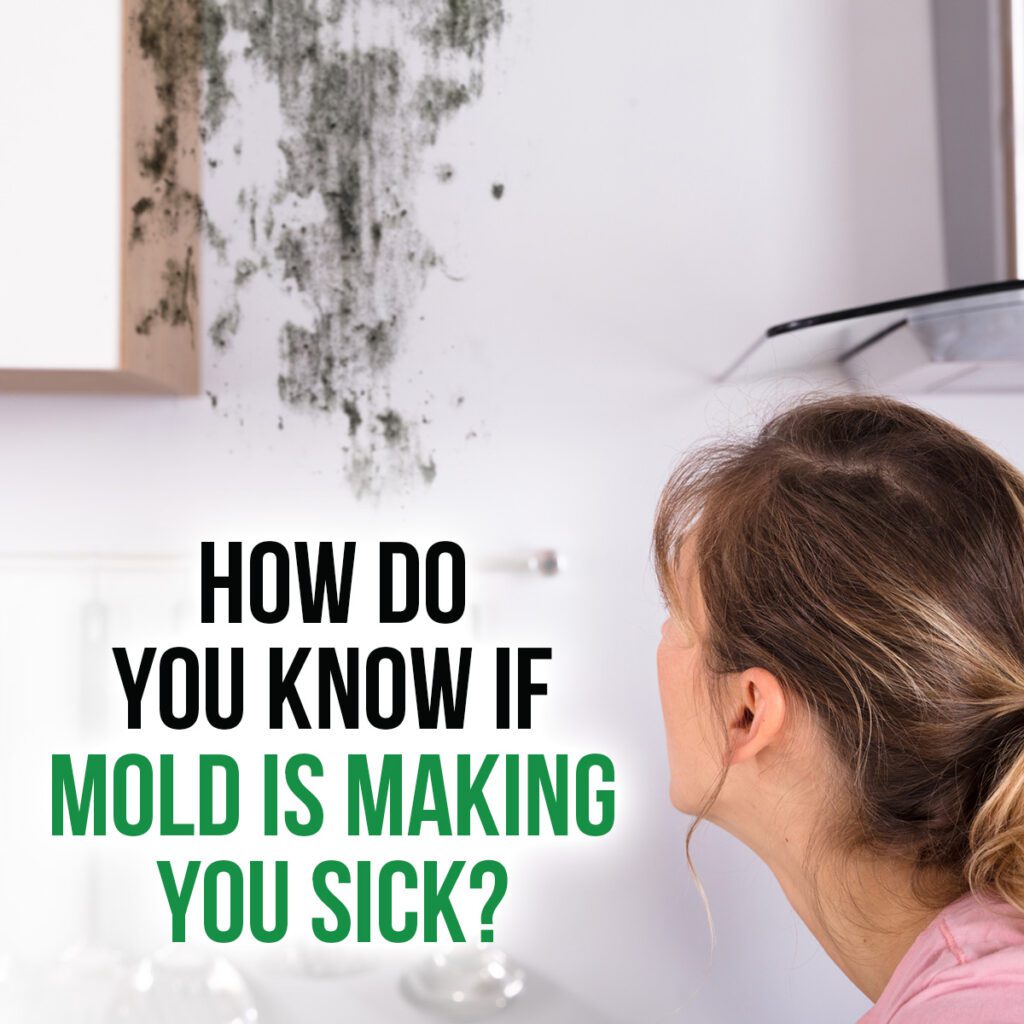 How Do You Prove Mold Is Making You Sick?