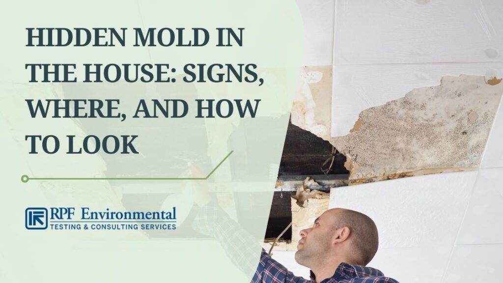 How Do You Tell If You Have Hidden Mold In Your House?