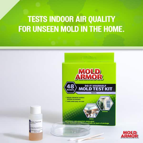 How Do You Test For Mold In Indoor Air?
