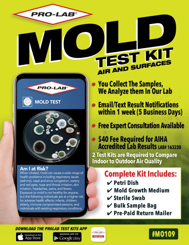 How Do You Test Your House For Mold Toxins?