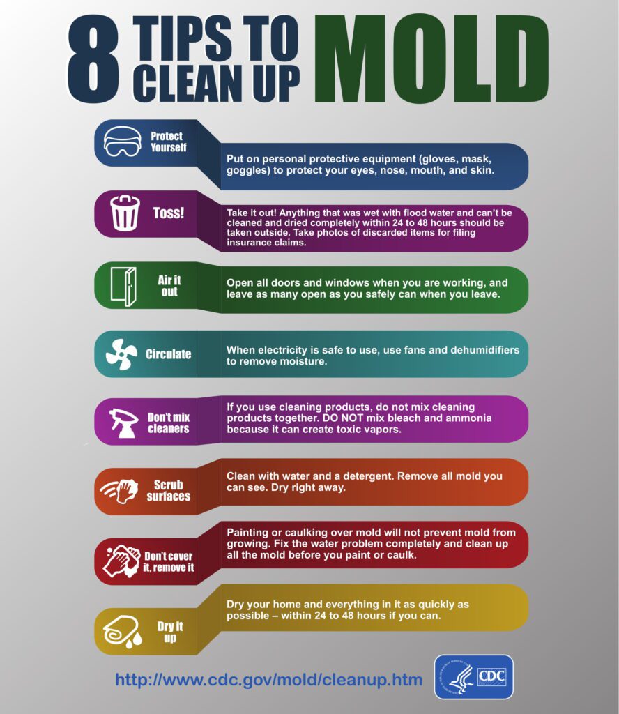 How Do You Test Your House For Mold Toxins?