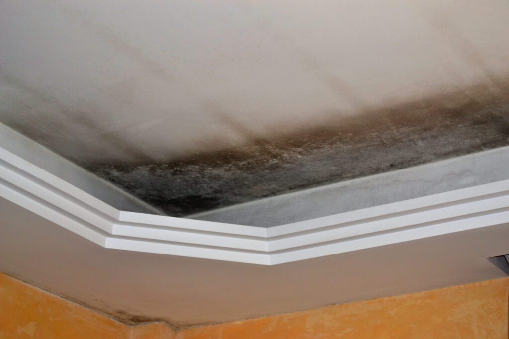 How Long Does It Take For A Roof Leak To Show?