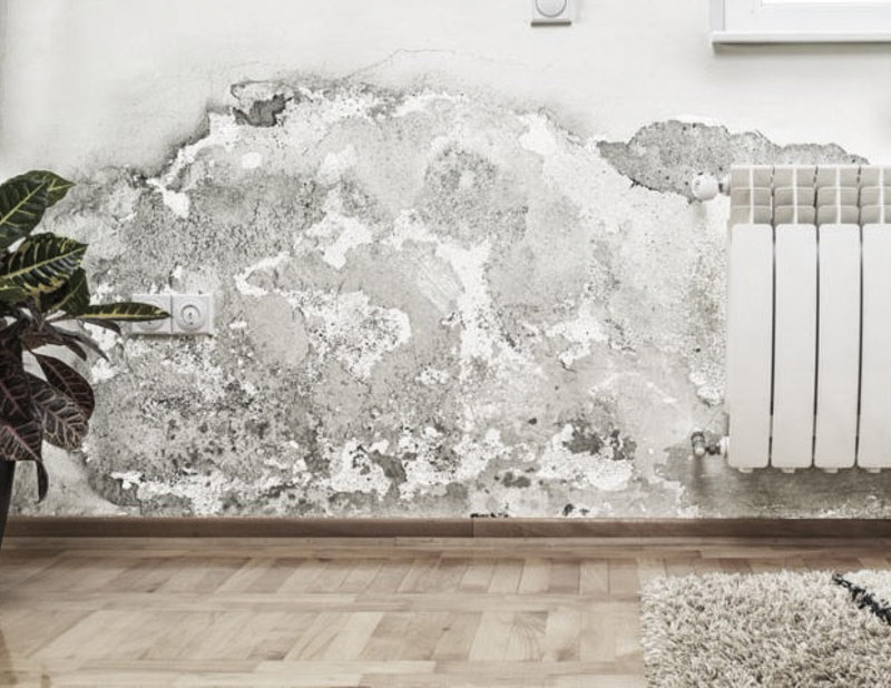 How Long Does It Take For Mold To Destroy Drywall?