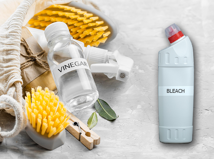 Is Bleach Or Vinegar Better For Mold?