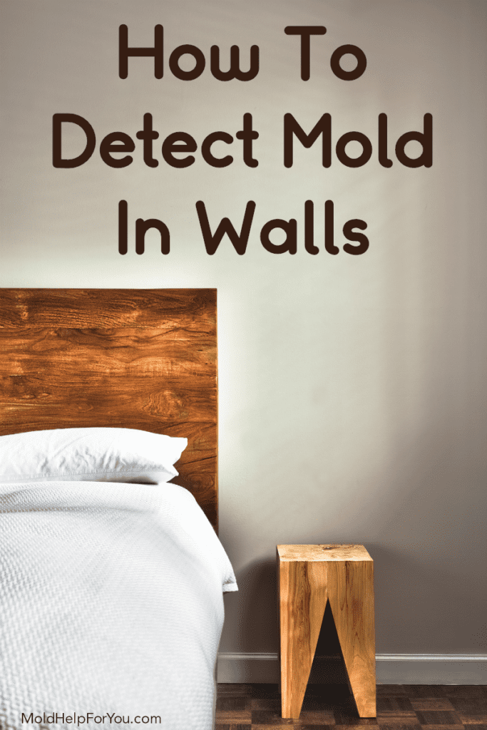 Is There A Tool To Detect Mold In Walls?