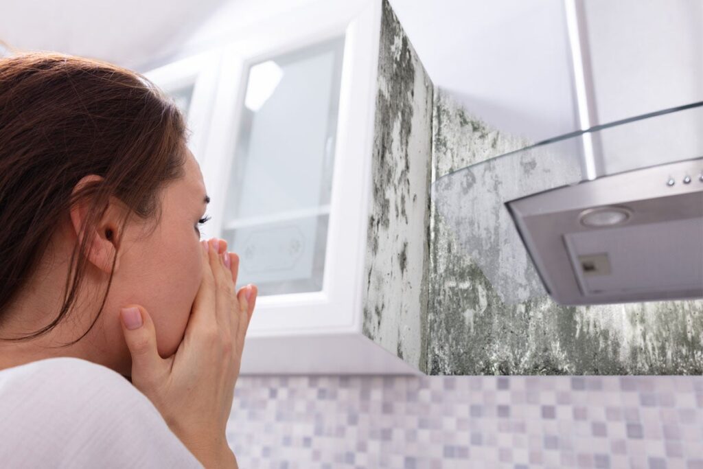 What Happens If You Smell Mold Directly?