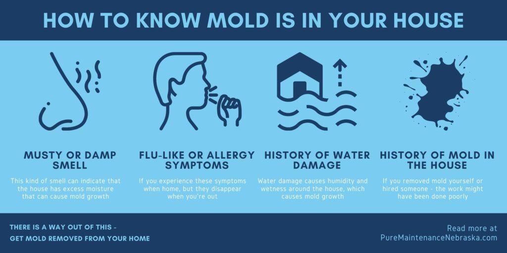What Happens If Your House Tests Positive For Mold?