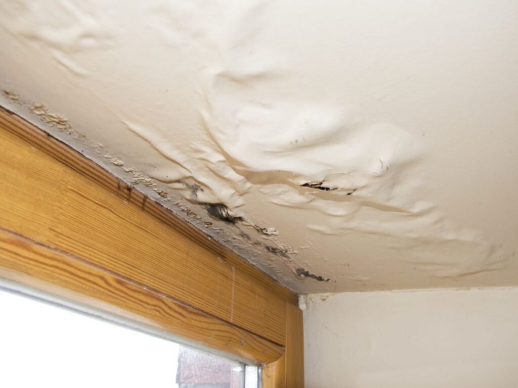 What To Do If Water Leaks Through The Ceiling?