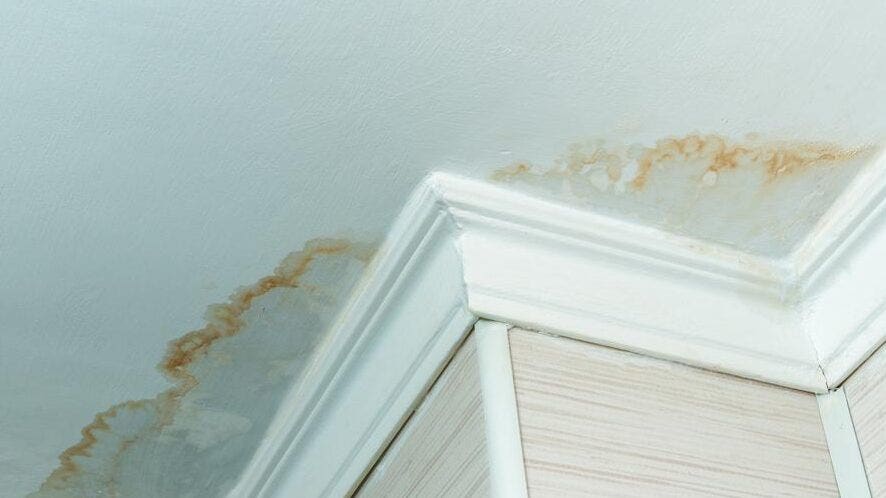 Who Do I Call For A Water Leak In My Ceiling?