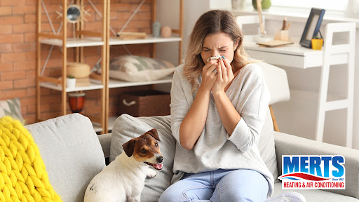 Why Is My Indoor Air Quality So Bad?