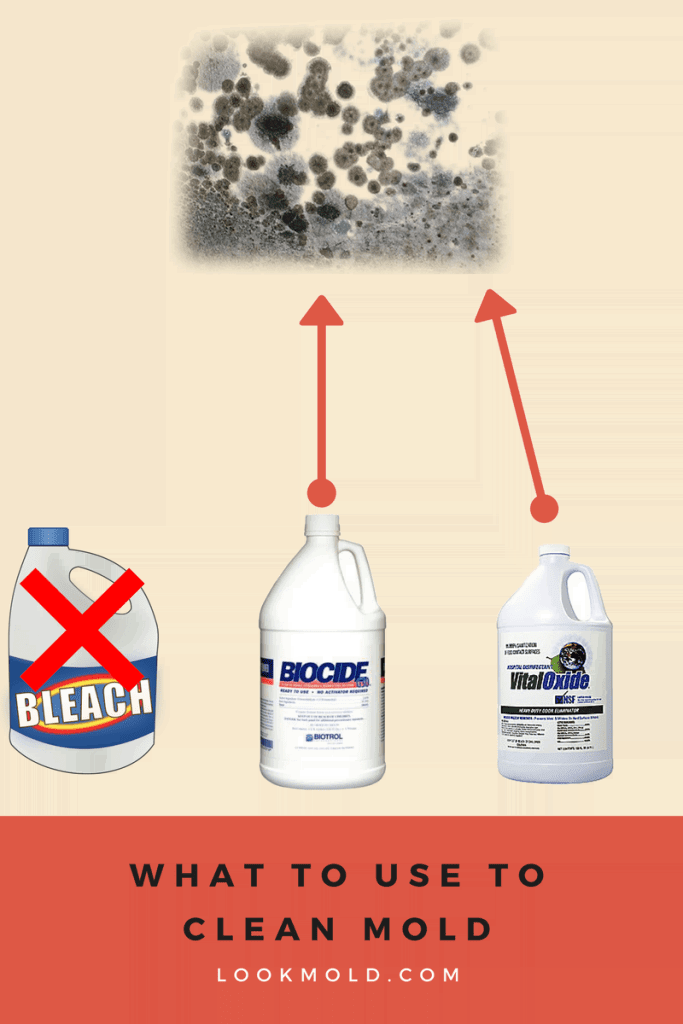 Why You Shouldnt Use Bleach On Mold?
