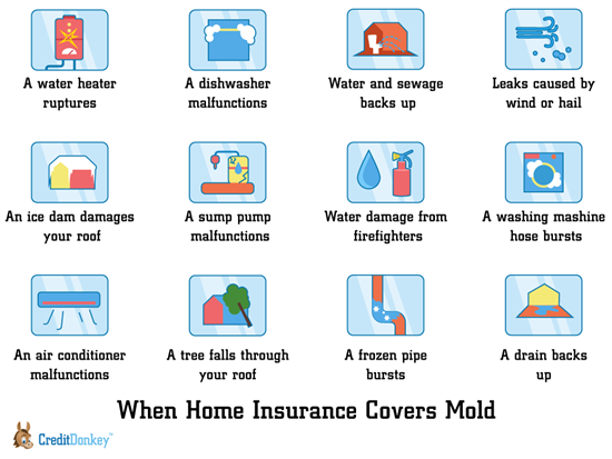 Does Homeowners Insurance Cover Damage From My Kid ...