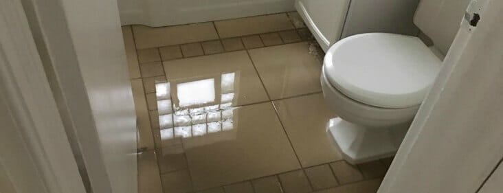 If You Have A Serious Plumbing Mishap That Floods ...