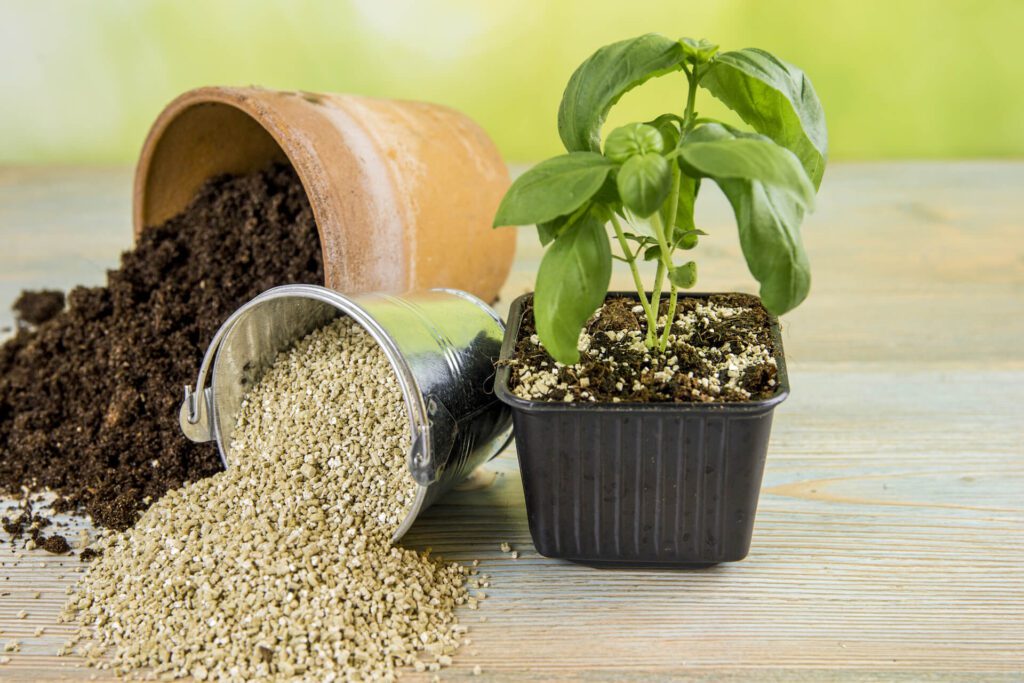 Is It Safe To Garden With Vermiculite?