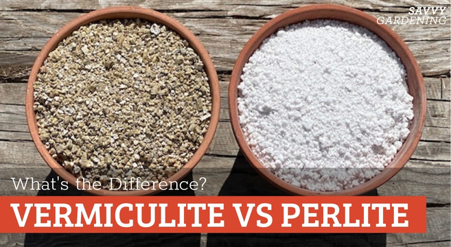 Is Perlite The Same As Vermiculite?