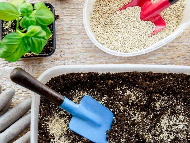 Is Vermiculite Safe For Organic Gardening?